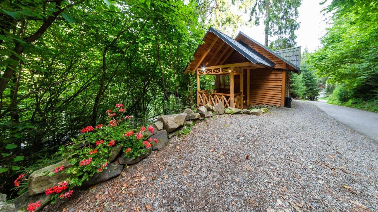 Karpatska Villa ميكوليتشن المظهر الخارجي الصورة